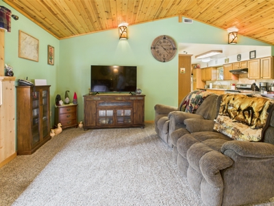 Idaho Backcountry Home for Sale in Adams County - image 38