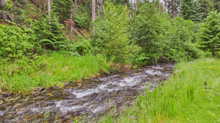 Idaho Backcountry Home for Sale in Adams County - image 36