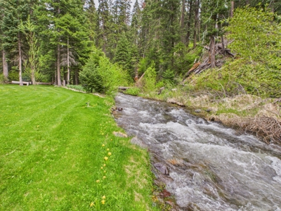 Idaho Backcountry Home for Sale in Adams County - image 20