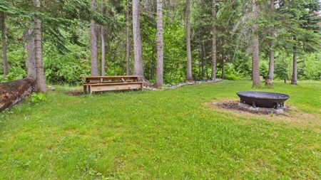Idaho Backcountry Home for Sale in Adams County - image 39