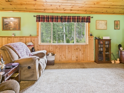 Idaho Backcountry Home for Sale in Adams County - image 2
