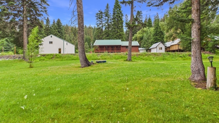 Idaho Backcountry Home for Sale in Adams County - image 37
