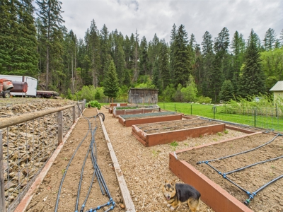 Idaho Backcountry Home for Sale in Adams County - image 16