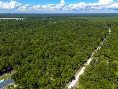 4.1 Acres for Sale in O'Brien, Florida - image 6