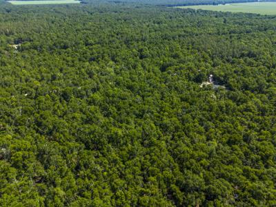 4.1 Acres for Sale in O'Brien, Florida - image 3