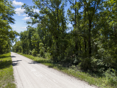 4.1 Acres for Sale in O'Brien, Florida - image 10