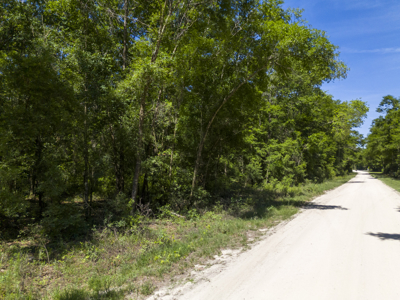 4.1 Acres for Sale in O'Brien, Florida - image 8