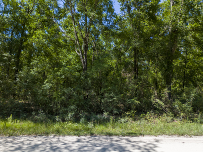 4.1 Acres for Sale in O'Brien, Florida - image 9