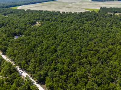 4.1 Acres for Sale in O'Brien, Florida - image 2