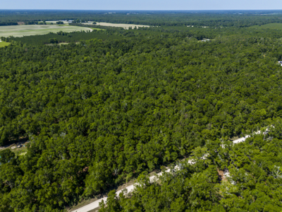 4.1 Acres for Sale in O'Brien, Florida - image 5