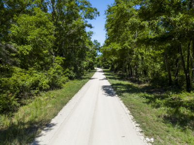 4.1 Acres for Sale in O'Brien, Florida - image 11