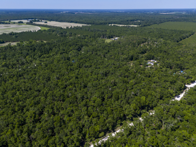 4.09 Acres for Sale in Suwannee County, Florida - image 2