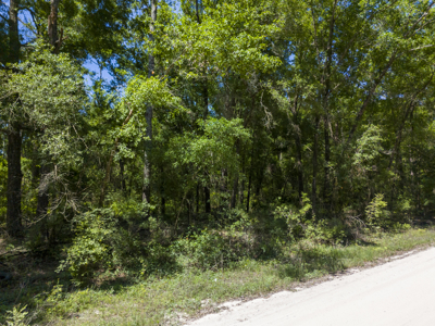4.09 Acres for Sale in Suwannee County, Florida - image 6