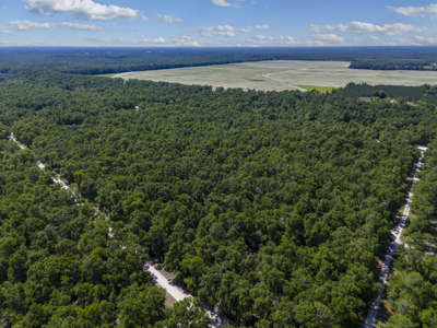 4.09 Acres for Sale in Suwannee County, Florida - image 4