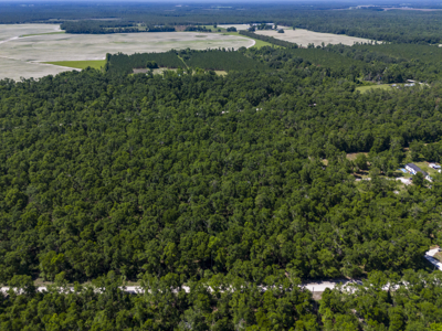 4.09 Acres for Sale in Suwannee County, Florida - image 3