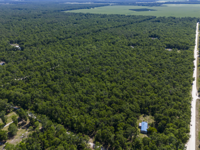 4.09 Acres for Sale in Suwannee County, Florida - image 5