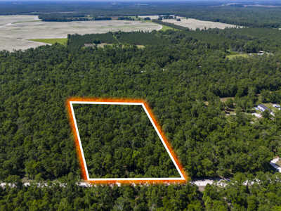4.09 Acres for Sale in Suwannee County, Florida - image 1