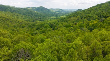 Offering #1 - Wooded Building Site in NC - image 3