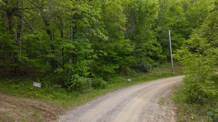 Offering #1 - Wooded Building Site in NC - image 7