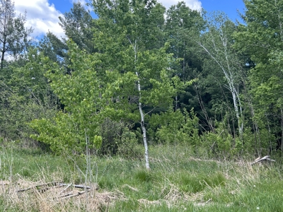 Country Home for Sale in Grasston MN - image 2