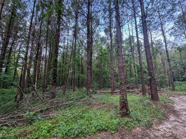 Listing 164