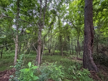Listing 164