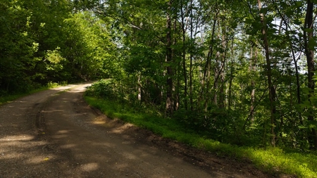 Offering #2 - Wooded Building Site in NC - image 16