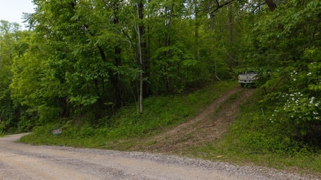 Offering #2 - Wooded Building Site in NC - image 7