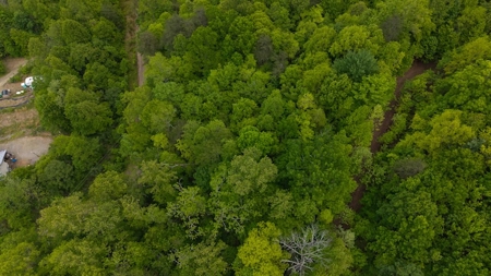Offering #2 - Wooded Building Site in NC - image 2