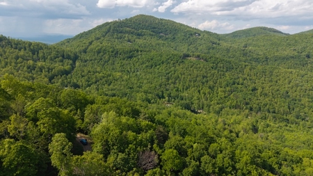 Offering #3 - Building Site in Wilkes County NC - image 4