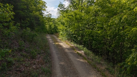 Offering #3 - Building Site in Wilkes County NC - image 9