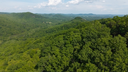 Offering #3 - Building Site in Wilkes County NC - image 8