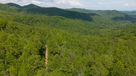Offering #3 - Building Site in Wilkes County NC - image 1