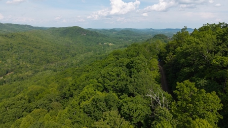Offering #3 - Building Site in Wilkes County NC - image 7