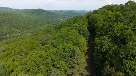 Offering #3 - Building Site in Wilkes County NC - image 13