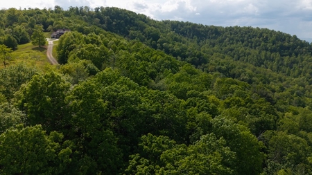 Offering #3 - Building Site in Wilkes County NC - image 11