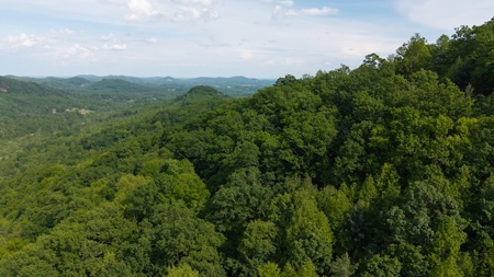 Offering #3 - Building Site in Wilkes County NC - image 15