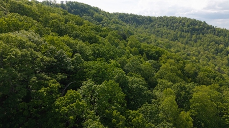 Offering #3 - Building Site in Wilkes County NC - image 6