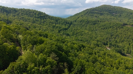 Offering #3 - Building Site in Wilkes County NC - image 3