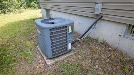 Hobby Farm for sale in the Ozarks - image 7