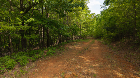 Offering #4 - Lot for Sale in Moravian Falls NC - image 3