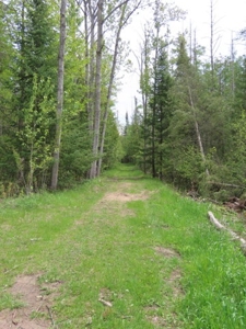 Cozy Year-Round Home or Getaway Near Atlanta, MI! - image 45