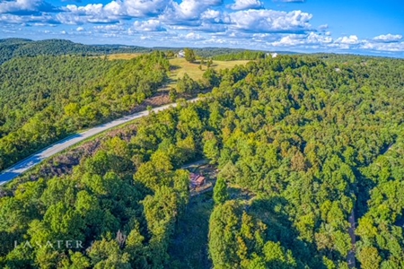 Two Nightly Rental Cabins in Newton County Buffalo River For Sale - image 24