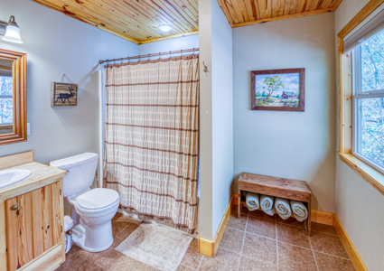 Two Nightly Rental Cabins in Newton County Buffalo River For Sale - image 43