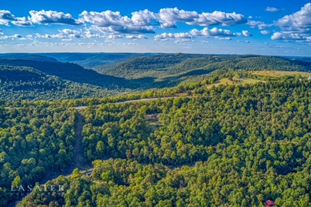 Two Nightly Rental Cabins in Newton County Buffalo River For Sale - image 25