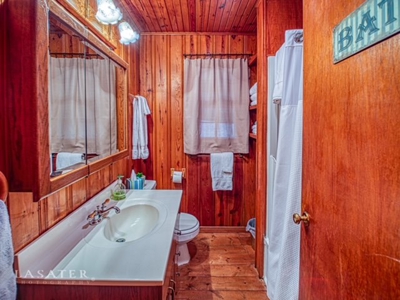 Two Nightly Rental Cabins in Newton County Buffalo River For Sale - image 19