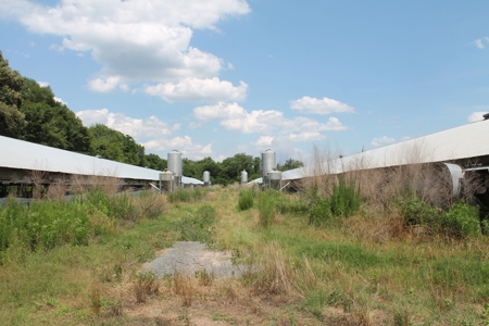 Four House Breeder Farm For Sale in Americus, GA - image 15