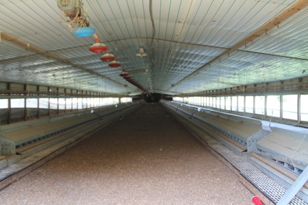 Four House Breeder Farm For Sale in Americus, GA - image 12