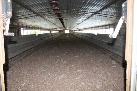 Four House Breeder Farm For Sale in Americus, GA - image 29