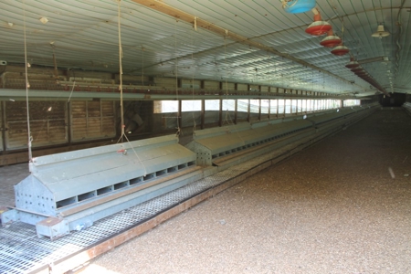 Four House Breeder Farm For Sale in Americus, GA - image 13